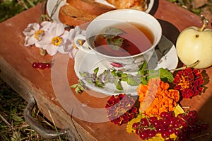 A cup of herbal tea, a plate of fresh pastry, yellow autumn leaves, ripe red currants and garden flowers on a wooden surface