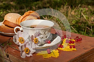 A cup of herbal tea, a plate of fresh pastry, yellow autumn leaves, ripe red currants and garden flowers on a wooden surface