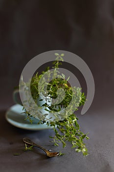 Cup of herbal tea with thyme on dark background with copy space