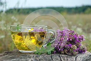 Cup of herbal tea on a wooden table top view. thyme, mint and chamomile tea. alternative medicine. cold and flu remedy