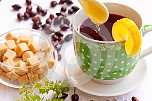 Cup of hip roses tea