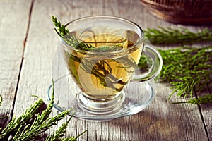 A cup of horesetail tea with fresh horsetail twigs