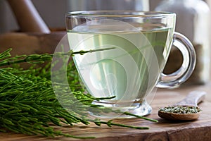 A cup of horsetail tea with fresh and dried horsetail