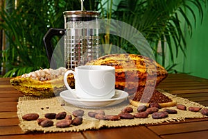 Cup of hot brewed cacao drink made in french press, raw cocoa fruit, beans, nibs