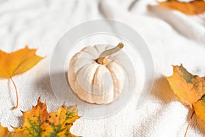 Cup with Hot Chocolate Autumn Time Pumpkin Yellow Leaves Candle