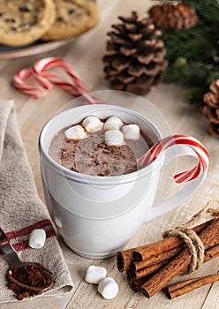 Cup of Hot Chocolate With Candy Cane