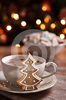 A cup of hot chocolate with gingerbread