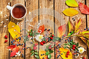 Cup of hot chocolate,leaves, rose hips, flowers, wild grapes on a wooden table