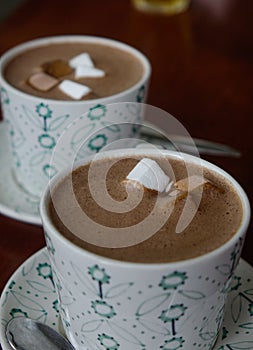 Cup of hot chocolate with marsh mallows