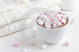 Cup of hot chocolate with marshmallow