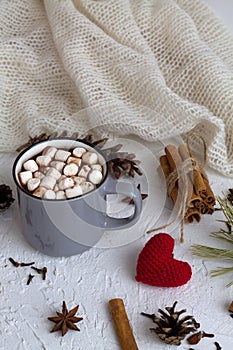 Cup of hot chocolate with marshmallows and cinnamon, anise star and knitted red heart on white background.