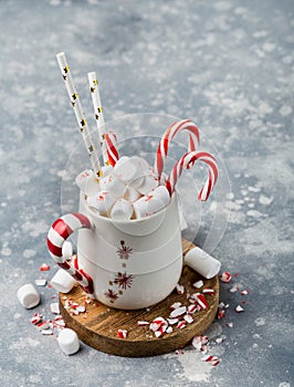 Cup of hot chocolate with marshmellows