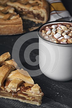 Cup of hot chocolate with mini marshmallows and a piece of apple pie on a rustic table. American traditional desserts. Breakfast