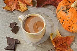 Cup of hot chocolate, a pieces of chocolate on dark concrete background with maple leaves and pumpkin. Fall time. Autumn