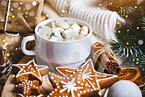 A Cup of hot cocoa and Christmas cookies. Merry Christmas and happy New year. Selective focus.