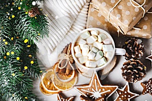 A Cup of hot cocoa and Christmas cookies. Merry Christmas and happy New year. Selective focus. Top view.