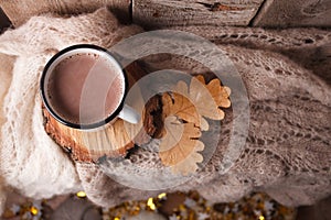 Cup of hot cocoa on rustic wooden bench with knitting soft scarf, closeup photo of warm sweater with mug leaves of oak, winter