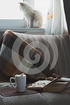 Cup of hot coffee with marmalade book points the blanket on the couch and cat the window