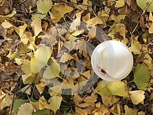 Cup of hot coffee in sunshine autumn day