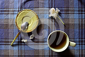 Cup of hot drink with white tulip, little dish and spoon