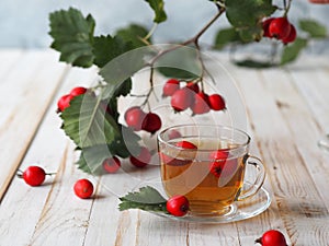 A cup of hot hawthorn tea made from freshly picked berries, herbal medicine for heart health on wooden background. The hawthorn