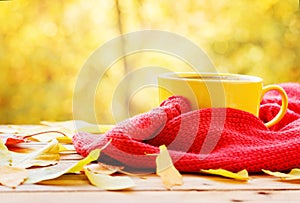 Cup of hot tea or coffee on nature background. Concept autumn mood.