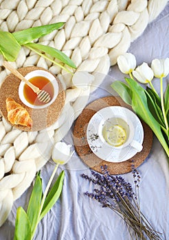 Cup with lavender tea, citrus and honey, croissant, white pastel giant knit blanket