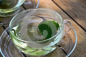 Cup of lemon balm tea