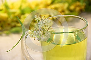 Cup with lime tea and Linden flowers