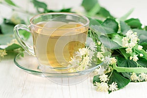 Cup of linden tea