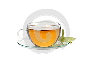 Cup of linden tea isolated on background