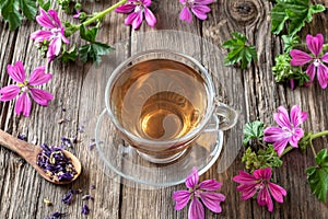 A cup of mallow tea with fresh malva sylvestris plant photo