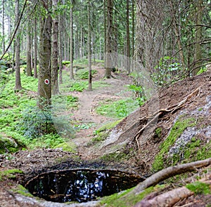 Cup-marked stone at a footpath