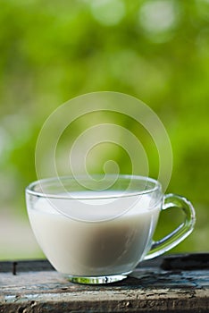 Cup milk on a wooden table on a background of green foliage