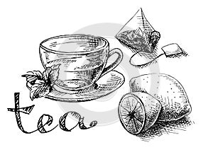 Cup, mint and tea bag