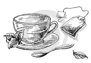 Cup, mint and tea bag