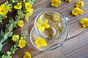 A cup of mullein tea with fresh mullein flowers