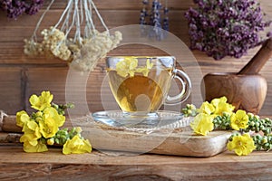 A cup of mullein tea with fresh mullein flowers