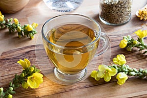 A cup of mullein tea with mullein flowers in the background