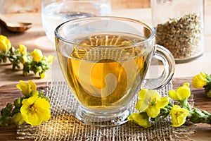 A cup of mullein verbascum tea with fresh mullein flowers