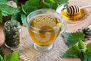 A cup of nettle tea with fresh and dried nettles photo
