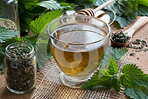 A cup of nettle tea with fresh and dry nettles in the background photo