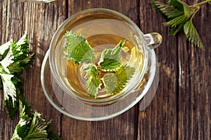 A cup of nettle tea with fresh nettles, top view