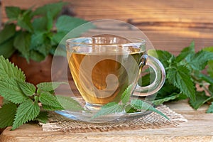 A cup of nettle tea with fresh stinging nettles