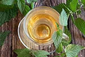 A cup of nettle tea with fresh stinging nettles