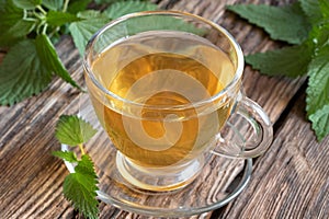 A cup of nettle tea with fresh stinging nettles
