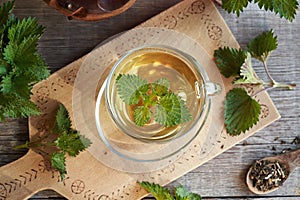 A cup of nettle tea with fresh stinging nettles