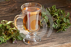 A cup of nettle tea with fresh young nettles