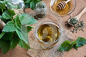 A cup of nettle tea with fresh and dry nettles photo