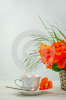 Cup and orange flowers